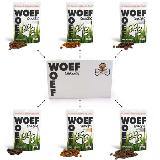 Gevarieerde box met 100% natuurlijke, graan- en suikervrije hondentrainers in kleine blokjes; ideaal voor training en snelle beloningen voor pups en volwassen honden.
