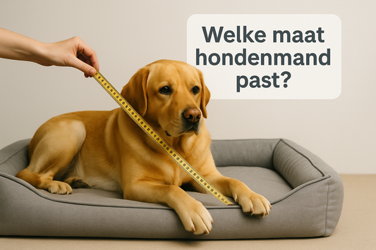 Welke maat hondenmand? [Complete gids + maattabel]