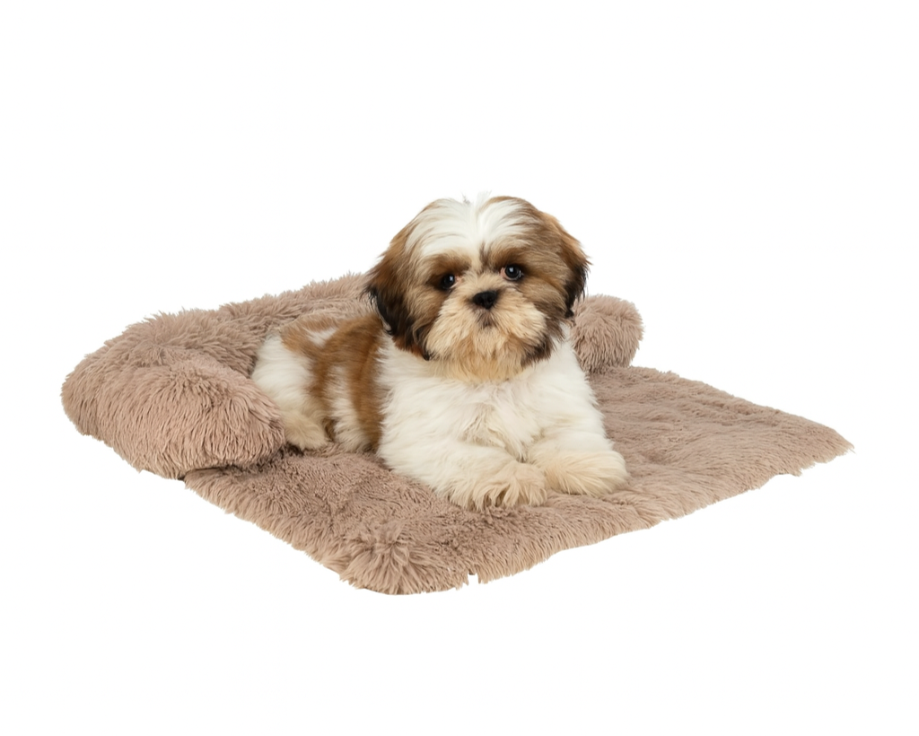 honden webshop, hondenproducten, hondenspeelgoed, verzorging hond, hondenmand.