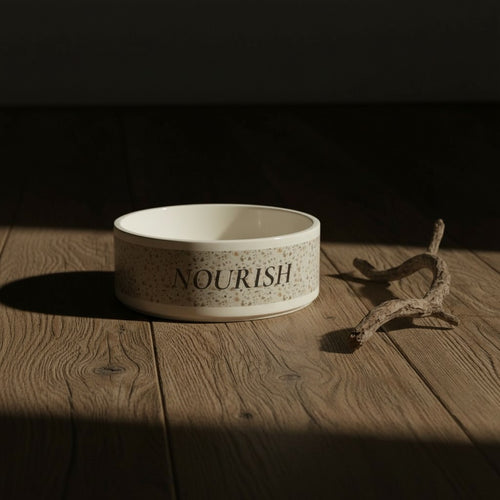 NOURISH Ritual Bowl Ivoor Terrazzo'— Dog & Cat Feeding Dish