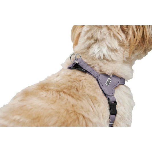 Dog Harness Hunter SOHO MINI Lilac XS/S-1