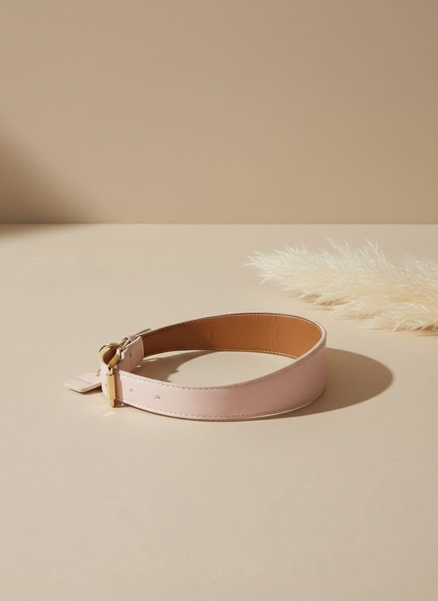 The Charmer Collar – Blush