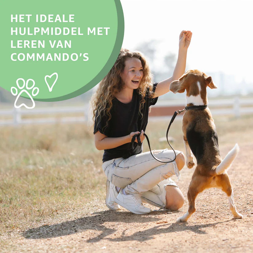 Try-Out Trainers Snackbox – 100% Natuurlijke Beloningsmix
