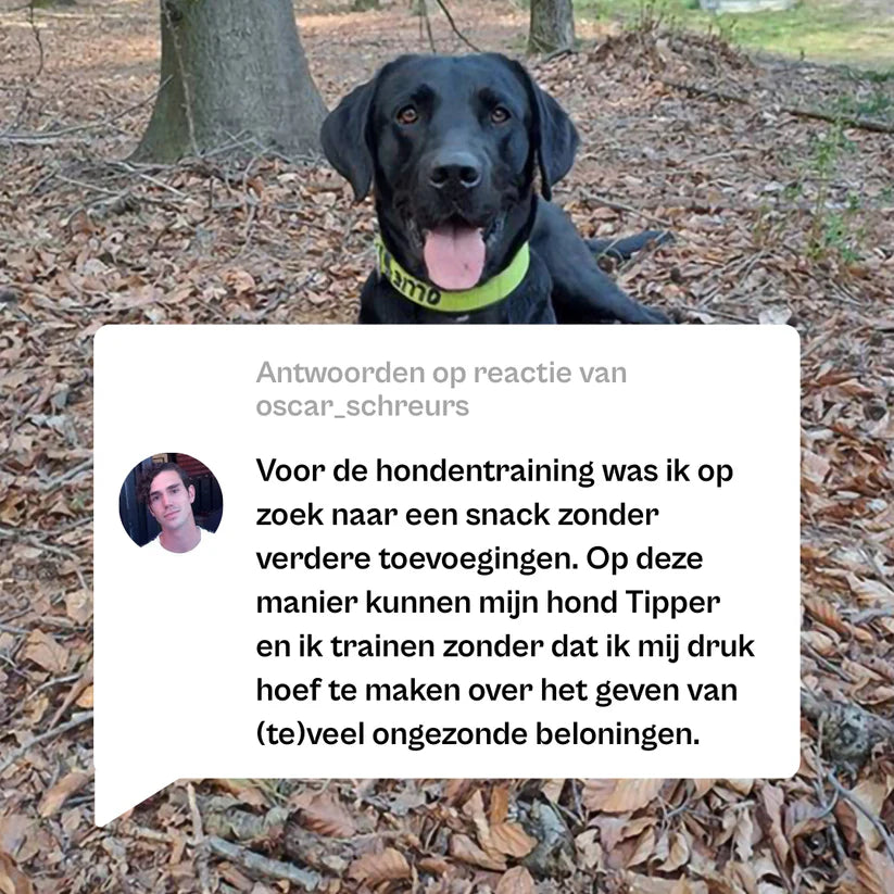 Try-Out Trainers Snackbox – 100% Natuurlijke Beloningsmix